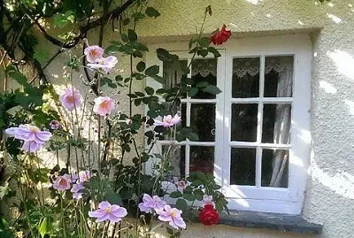 פאזל של flores