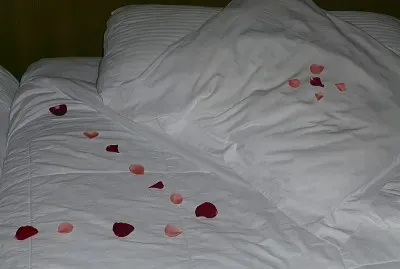 PÃ©tales de roses