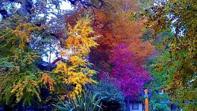 פאזל של paisaje