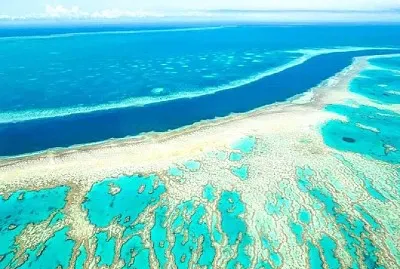 natural jigsaw puzzle