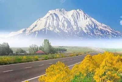 natural jigsaw puzzle