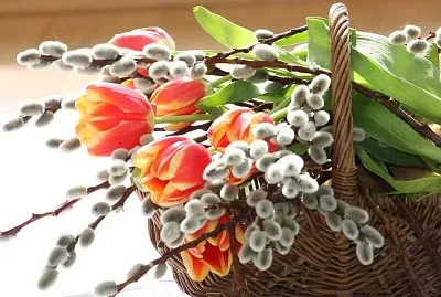 Bunt jigsaw puzzle
