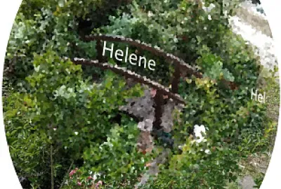 mÃ©daillon floral