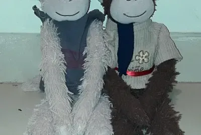 LEO Y ROBIN