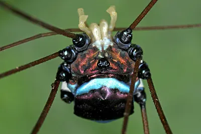 gagr 01