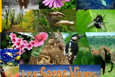 SERES VIVOS
