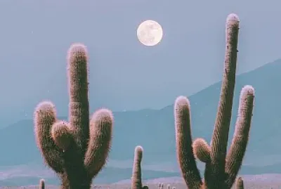 Los Cardones Salta-Argentina