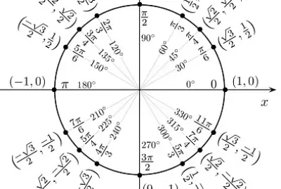 פאזל של cerc trigonometric.