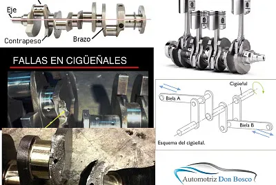 completar el rompecabezas del cigueÃ±al propuesto