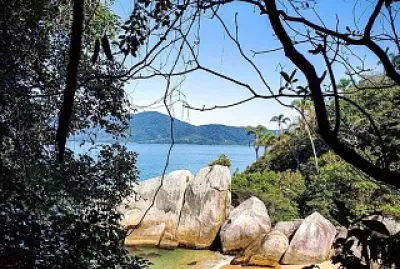 natural jigsaw puzzle