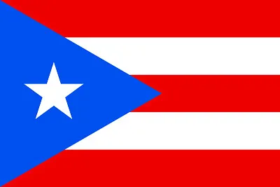 bandeira jigsaw puzzle