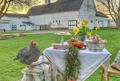 Country barn