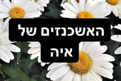 ×”××©×›× ×–×™× ×©×œ ××™×” jigsaw puzzle