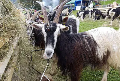 Della valle dei mocheni