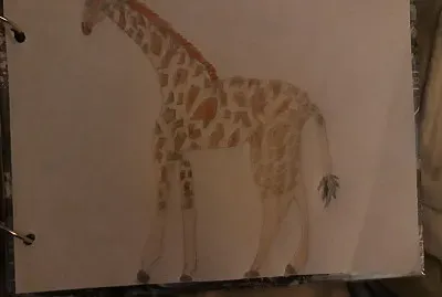 Figura completa fondo