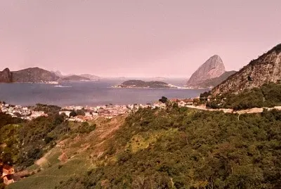 natural jigsaw puzzle