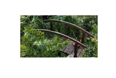 pont au milieu de folle vÃ©gÃ©tation