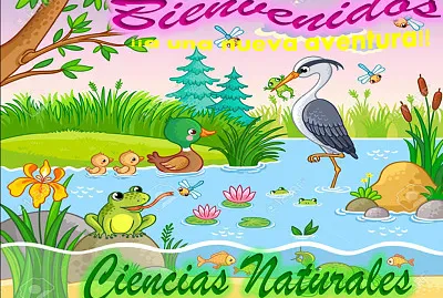 Bienvenidos a clases
