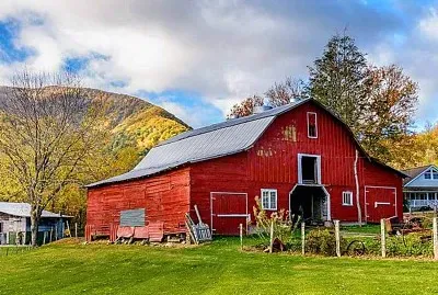 פאזל של CELEIRO