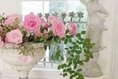 flores