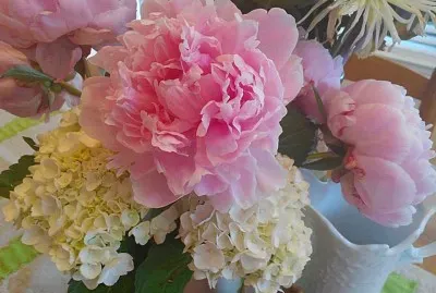 flores