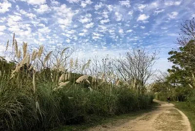 Reserva ecolÃ³gica caba