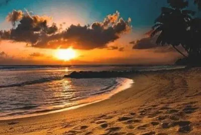 natural jigsaw puzzle