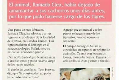 La noticia