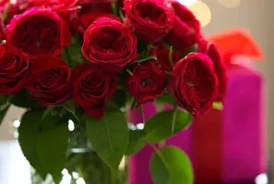 flores
