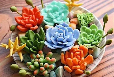 פאזל של suculenta