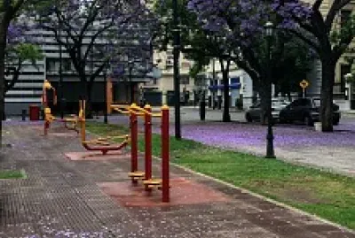 Jacaranda en flor jigsaw puzzle