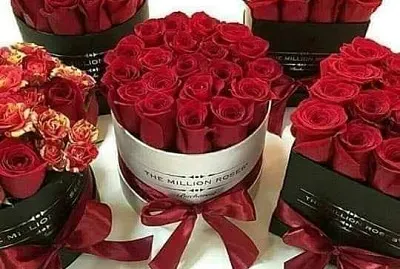 flores