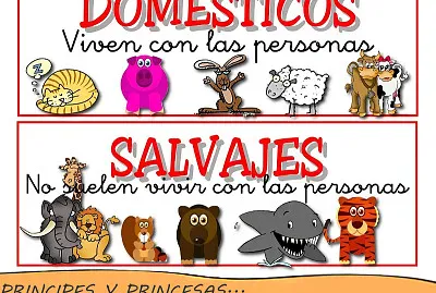 ANIMALES SALVAJES Y DOMÃ‰STICOS