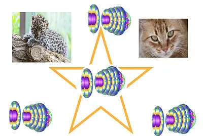 chats et spirales jigsaw puzzle