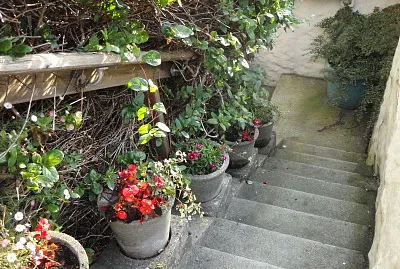 פאזל של Garden Flat