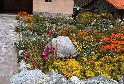cabaÃ±ita