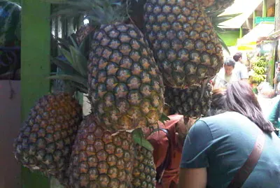 pinas