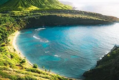 natural jigsaw puzzle