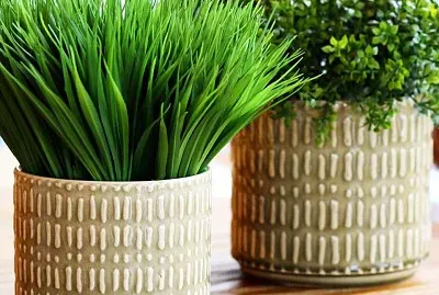natural jigsaw puzzle