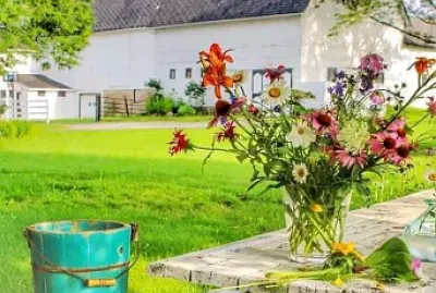 flores