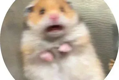 Hammi