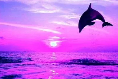 Ã¨ un puzzle sul mare