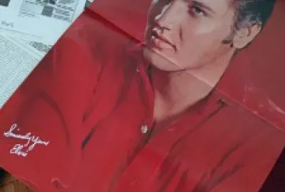 Elvis Presley 1 jigsaw puzzle