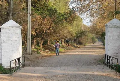 entrada maitenes Hijuelas