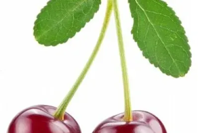 פאזל של ciresele