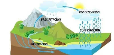Ciclo del Agua