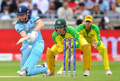 CRIKET jigsaw puzzle