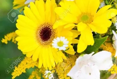 mix de flores