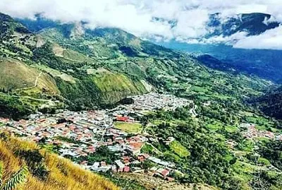 queniquea