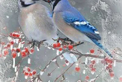 amor